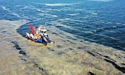 İzmit Körfezi yeniden deniz salyası ile kaplandı