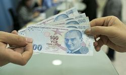 Hibe desteği ödemeleri bugün başlıyor