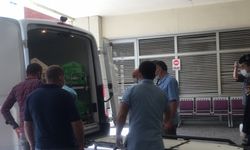 Kocaeli'de husumetli olduğu kişiyi ve eşini tarlada çalışırken av tüfeğiyle öldüren zanlı yakalandı