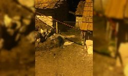 Kütahya'da elektrik sayacının sökülmesi nedeniyle çıkan kavgada silahla vurulan kişi öldü