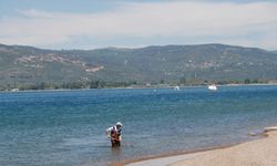 Marmara'da oluşan deniz salyası balık popülasyonunu tehdit ediyor