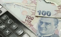 Mükellefler süresi dolacak pek çok vergi için 31 Mayıs hareketliliği yaşıyor