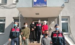Sakarya'da 5 büyükbaş hayvan çaldığı tespit edilen 3 şüpheli tutuklandı