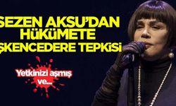 Sezen Aksu'dan İşkencedere tepkisi: Yetkinizi aşmış ve...