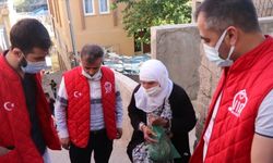 Siirt Valisi Hacıbektaşoğlu 81 yaşındaki şehit annesinin evladının kabrini ziyaret isteğini yerine getirdi