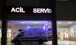 Eskişehir'de tarlada yıldırım isabet eden iki kişiden biri hayatını kaybetti