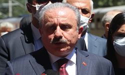 TBMM Başkanı Şentop'tan Tatvan ve Hatay şehitleri için başsağlığı mesajı