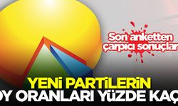 Yeni partilerin oy oranları yüzde kaç? Son anketten çarpıcı sonuçlar...