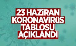 23 Haziran koronavirüs tablosu açıklandı!