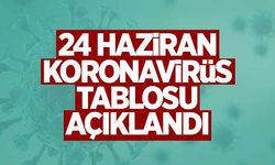 24 Haziran koronavirüs tablosu açıklandı!