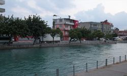 Adana'da sulama kanalına düşen kişiyi çevredekiler kurtardı