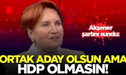 Akşener: Ortak aday çıkaralım ama HDP olmasın