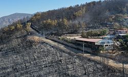 Antalya'daki orman yangınında zarar gören alanlar havadan görüntülendi