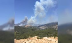Antalya'nın Kaş ilçesinde orman yangını çıktı