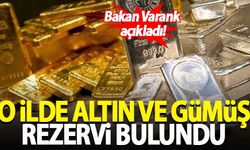 Bakan Varank duyurdu! O ilde altın ve gümüş rezervi bulundu...