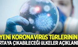 Bilim insanları, yeni koronavirüs türlerinin ortaya çıkabileceği ülkeleri ortaya koydu