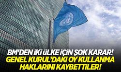 BM'den iki ülke için şok karar! Genel Kurul'daki oy kullanma haklarını kaybettiler