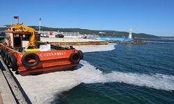 Çanakkale Boğazı'nda müsilaj yoğunluğu artıyor