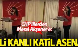 CHP'lilerden Meral Akşener'e: Eli kanlı katil asena
