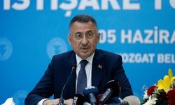 Cumhurbaşkanı Yardımcısı Oktay'dan çiftçilere desteklerden faydalanma çağrısı
