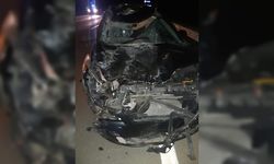 Edirne'de otomobil mandaya çarptı: 3 yaralı