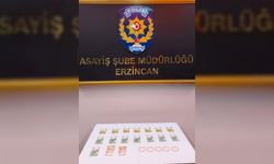 Erzincan'da darbettiği kadının para ve ziynet eşyasını gasbettiği iddiasıyla bir kişi tutuklandı