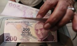 Esnafa yönelik hibe desteğinde başvuru süresi 1 Temmuz'a uzatıldı