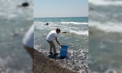 Hatay sahil şeridinde görülen sıvının ilk belirlemelere göre müsilaj olmadığı bildirildi