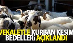 Kızılay vekaletle kurban kesim bedellerini açıkladı