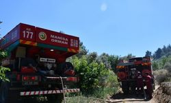 Manisa'da çıkan yangında 10 dönüm orman ve tarım alanı zarar gördü