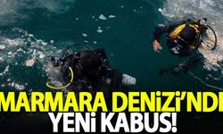 Marmara Denizi'nde yeni kabus: Ölümcül gaz