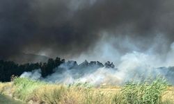 Muğla'da plastik atık deposunda çıkan yangın ormana sıçradı