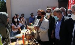 Tarım ve Orman Bakan Yardımcısı Ayşe Ayşin Işıkgece, Elazığ'da kadın çiftçilerle buluştu