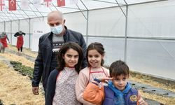 TİKA’nın Gürcistan'da sosyal merkez bünyesinde kurduğu sera ilk meyvelerini verdi