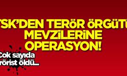 TSK'dan terör örgütü mevzilerine operasyon! Çok sayıda terörist öldü...