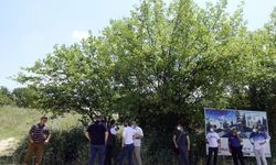 Bursa'da ormanlık alanda bebek cesedi bulundu