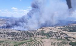 Çanakkale'de makilik alanda etkili olan yangın kontrol altına alındı