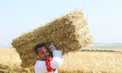 Edirne'de okul müdürü, öğrencilerine destek için balya işçisi velilerle çalıştı