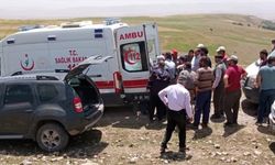 Kars'ta kestiği ağacın altında kalan kişi öldü