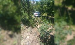 Konya'da otomobilin çarptığı bahçedeki kişi hayatını kaybetti