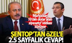 'Mafyadan 10 bin dolar alan siyasetçi' iddiasıyla ilgili Mustafa Şentop'tan Özgür Özel'e cevap!