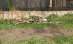 Sakarya'da toprağa gömülü ceset parçaları bulundu