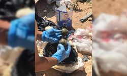 Şanlıurfa'da PKK/KCK/YPG'ye yönelik operasyonda 15 şüpheli tutuklandı