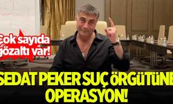 Sedat Peker suç örgütüne operasyon: 15 gözaltı