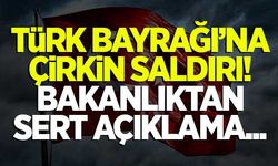 Türk Bayrağı'na çirkin saldırı! Bakanlıktan sert açıklama...