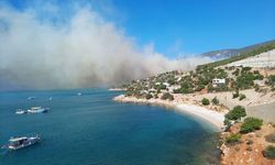 Mersin'in Silifke ilçesinde çıkan orman yangınına müdahale ediliyor