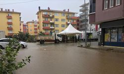 Arhavi'de sağanağın ardından iki mahalleyi su bastı
