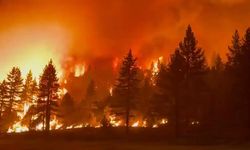 ABD’nin California eyaletinde zorlu mücadele devam ediyor! 50 bin dönümden fazla arazi yok oldu...