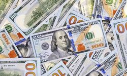ABD'li ekonomistten dolar tahmini: Tepe noktaya çıktı, bundan sonra...
