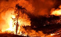 Osmaniye'deki yangınla ilgili 5 gözaltı